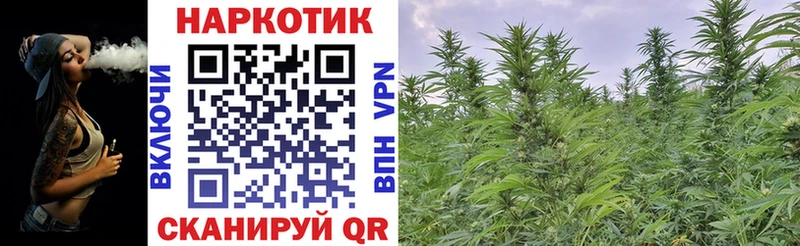 Купить наркотик аптеки Новошахтинск Галлюциногенные грибы ГАШИШ Канабис Alpha-PVP АМФ