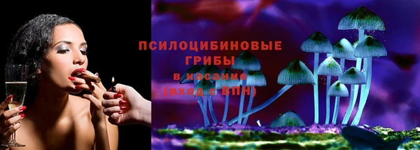 ECSTASY Алзамай