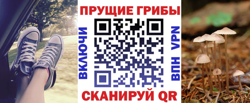 наркошоп  Новошахтинск  Галлюциногенные грибы ЛСД 