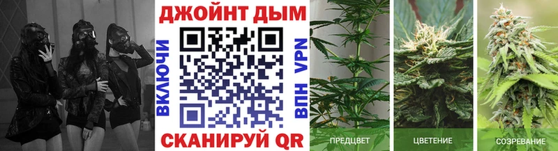 Канабис VHQ  нарко площадка телеграм  Новошахтинск 